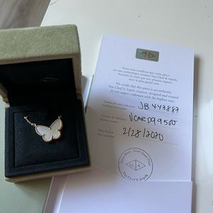 Limited collection butterfly